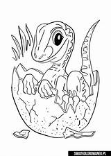 Kolorowanki Dinozaury Druku Wydruku Kolorowanka Swiatkolorowanek Dinozaurem Dinozaurów Darmowe Zwierzęta sketch template