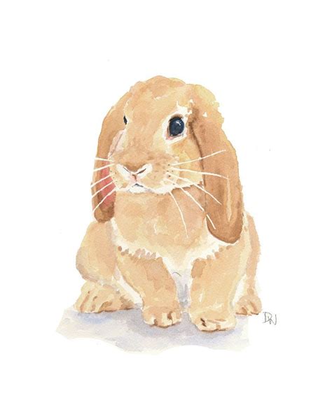 rabbit watercolor lop earred rabbit bunny art original etsy bunny