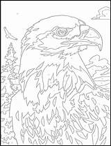 Number Color Adult Pages Coloring Dover Numbers Paint Printable Bird Publications 塗り絵 Eagle Animal Book Welcome Books ぬり絵 Bald Adults sketch template