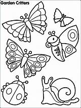 Coloring Pages Bugs Preschool Insects Printable Color Print Getcolorings Getdrawings sketch template