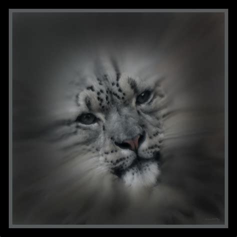 Snow Leopard 18 Digital Art By Ernie Echols