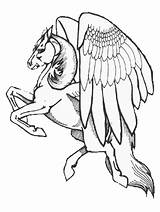 Pegasus Coloring Pages Fantasy Adult Color Print Unicorn Printable Kids Book Colouring Animals Unicorns Sheets Adults Animal Drawings Detailed sketch template