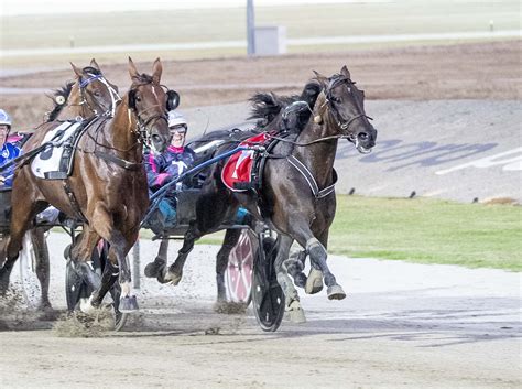 Team Teal Kima Guides Big Jack To Group 1 Harness Racing Victoria