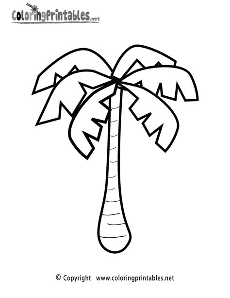 palm tree coloring page   nature coloring printable