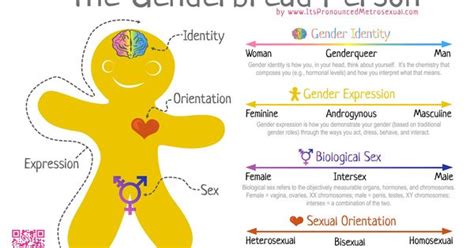 the genderbread person a chart for describing the differences between gender biological sex