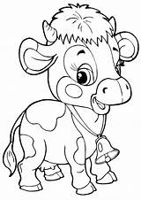 Calf Coloring Pages Coloringway sketch template