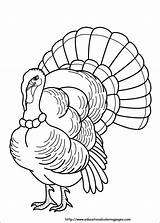 Coloring Pages Thanksgiving Printable Cartoon sketch template