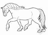 Coloring Haflinger Pages Clipart Mare Secretariat Deviantart Drawing Getdrawings Drawings Artwanted Clipground Teach Riding Inspired Use sketch template