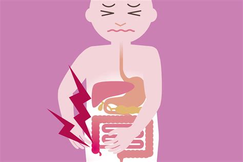 What Does The Appendix Do And Other Questions About The Body’s Mystery Organ