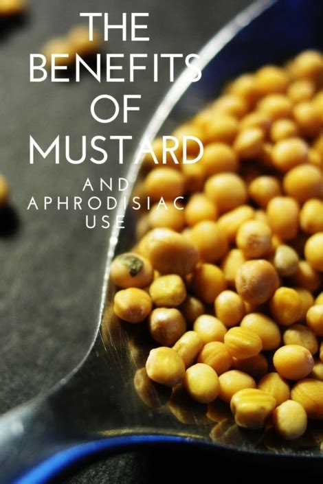 Mustard Benefits And Aphrodisiac Use Eat Something Sexy