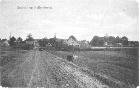 gezicht op hellendoorn gezicht op hellendoorn vanaf de hellendoornse berg rechts hotel