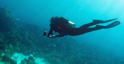 scuba diver info camera review sealife dc