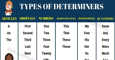 learn determiners  english  examples  infographic   types  determiners