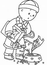 Coloring Caillou Pages Getcolorings sketch template