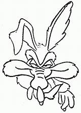 Coloring Pages Coyote Wile Roadrunner Tunes Looney Cartoon Drawing Runner Road Color Getdrawings Comments Library Clipartmag Line Visit Getcolorings Bulkcolor sketch template