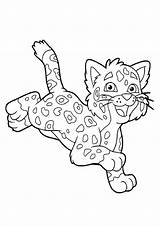 Cheetah Guepardo Running Colouring Leopardo Bebé Correndo Lindo Pusheen Rama Acostado Sonriendo sketch template