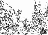 Reef Coral Coloring Pages Barrier Great Ecosystem Fish Sea Ocean Plants Drawing Octopus Grassland Kids Habitat Desert Waiting Printable Swordfish sketch template