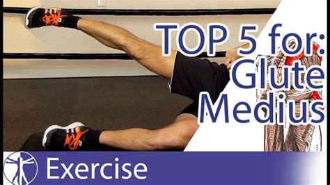 top 5 gluteus medius exercises fitness magazine