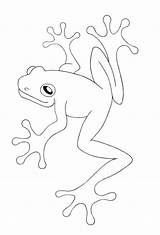 Coloring Frog Tree Pages Frogs Red Animals Eyed sketch template