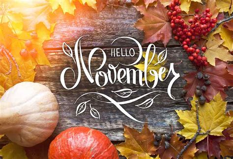 important days  observe  celebrate   month  november