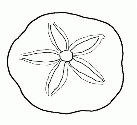 coloring pages  seashells coloring home