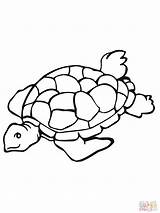 Turtle Sea Clip Clipart Drawing Color Coloring Colour Turtles Loggerhead Pages Clipartmag 1600 1200 sketch template