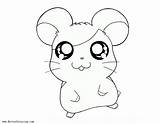 Hamster Coloring Pages Cartoon Printable Template Adults Kids Funny sketch template