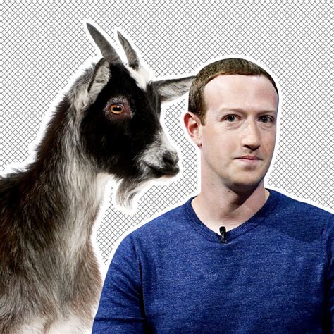 Mark Zuckerberg Has Goats Named Bitcoin And Max