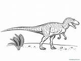 Dinosaurs Meat Eating Coloring Pages Bubakids Concerning Thousands Internet sketch template