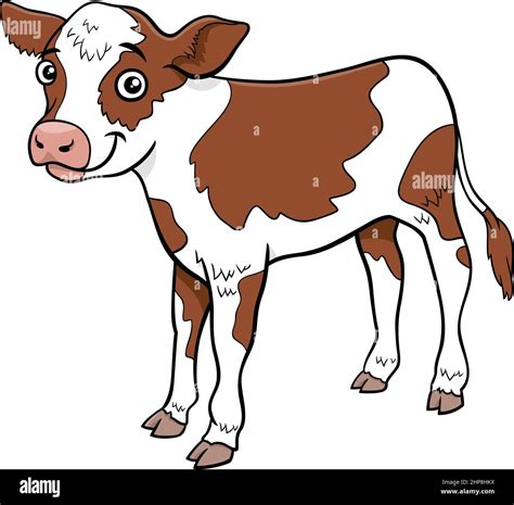 cartoon calf farm animal comic character stock vector image art alamy