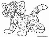 Coloring Pages Jaguars Jacksonville Getcolorings Jaguar sketch template