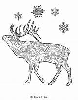 Mandala Coloring Animal Pages Reindeer Snowflake sketch template