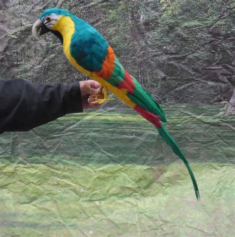simulation macaw parrot large cm feathers parrot toy model home decoration christmas gift
