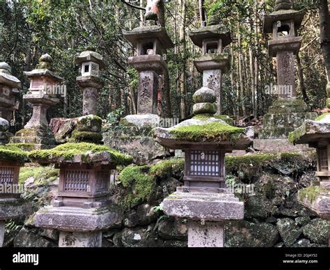 steinlaternen  kasuga schrein nara japan stockfotografie alamy