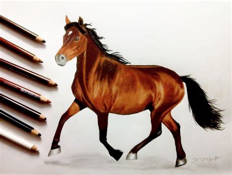 colored pencils drawing   horse  jasminasusak  deviantart
