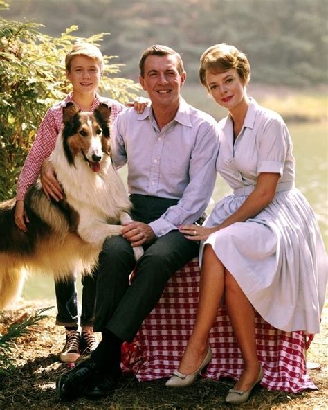 66 Best Lassie Come Home Images On Pinterest Tv Series