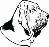 Bloodhound Designlooter sketch template