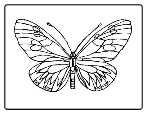 hungry caterpillar coloring page  getdrawings