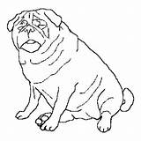 Dog Coloring Pug Fat Pages Realistic Big Color Clifford Red Cat Drawing Puppy Print Newfoundland Printable Husky Pugs Dogs Cute sketch template