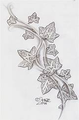 Ivy Tattoo Vine Leaf Runes Tattoos Drawing Sketch Designs Climbs 2face Rune Patterns Flower Deviantart Sleeve Cool Women Rose Celtic sketch template