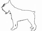 Schnauzer Outline Silhouettes Silhouette Vector Svg Drawing Coloring Pages sketch template