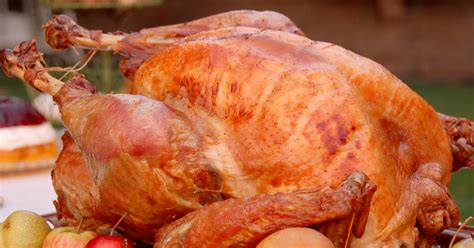 thanksgiving turkeys    big     years  grub