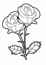 Coloring Rose Roses Pages Printable Kids sketch template