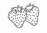 Coloring Strawberry Pages Printable Fruits Labels Fruit sketch template