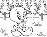 Tweety Procoloring Cool2bkids sketch template