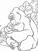 Kong King Coloring Pages Choose Board Kids Tarzan sketch template