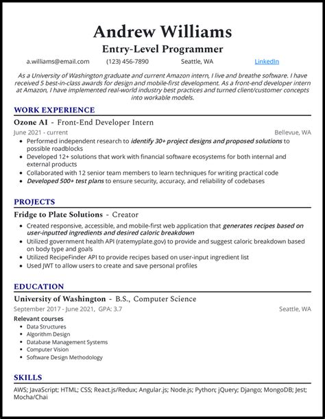 programmer resume examples