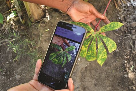 Smartphone Based Diagnosis Of Crop Diseases
