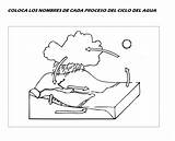Agua Ciclo Primaria Aprender Ciencias Educativa Escuelaenlanube Procesos Escuela sketch template