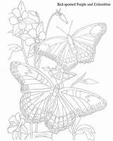 Coloring Butterfly Homeless Children Homelessness Expose sketch template